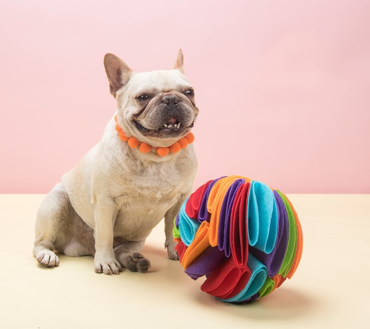 Foldable Food Ball for Dogs with Smell Detection