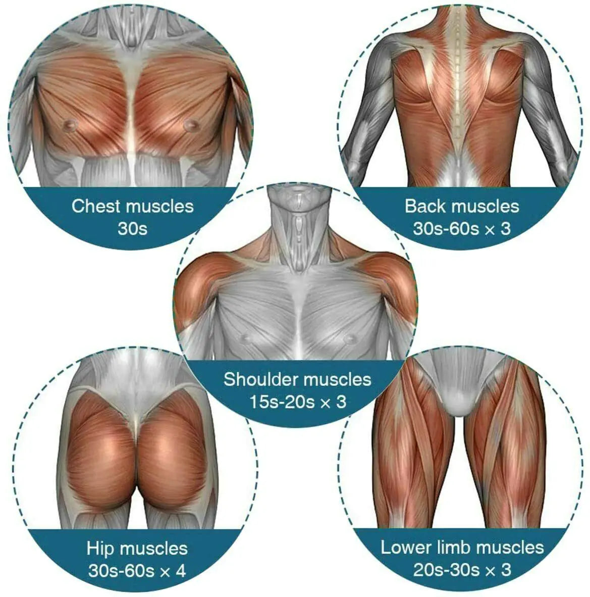 Massage Gun Deep Tissue Muscle + 4 Heads